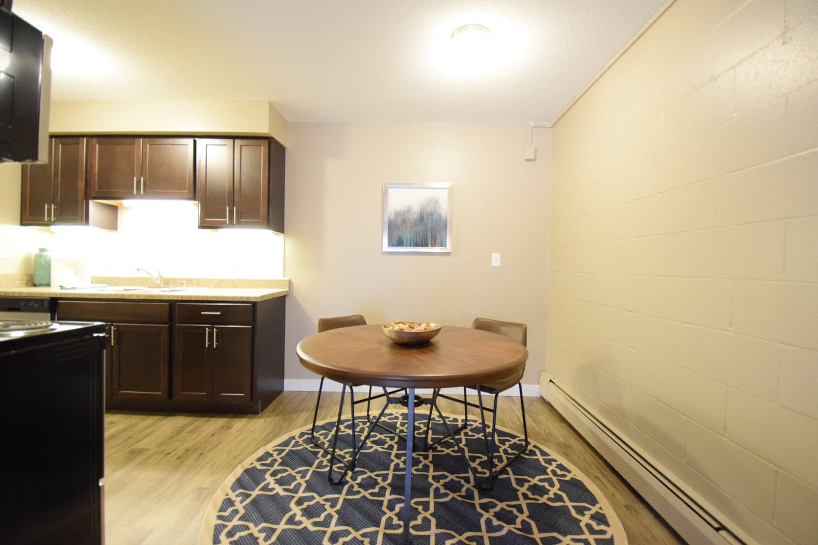 Mankato Apartment: 504 James Ave