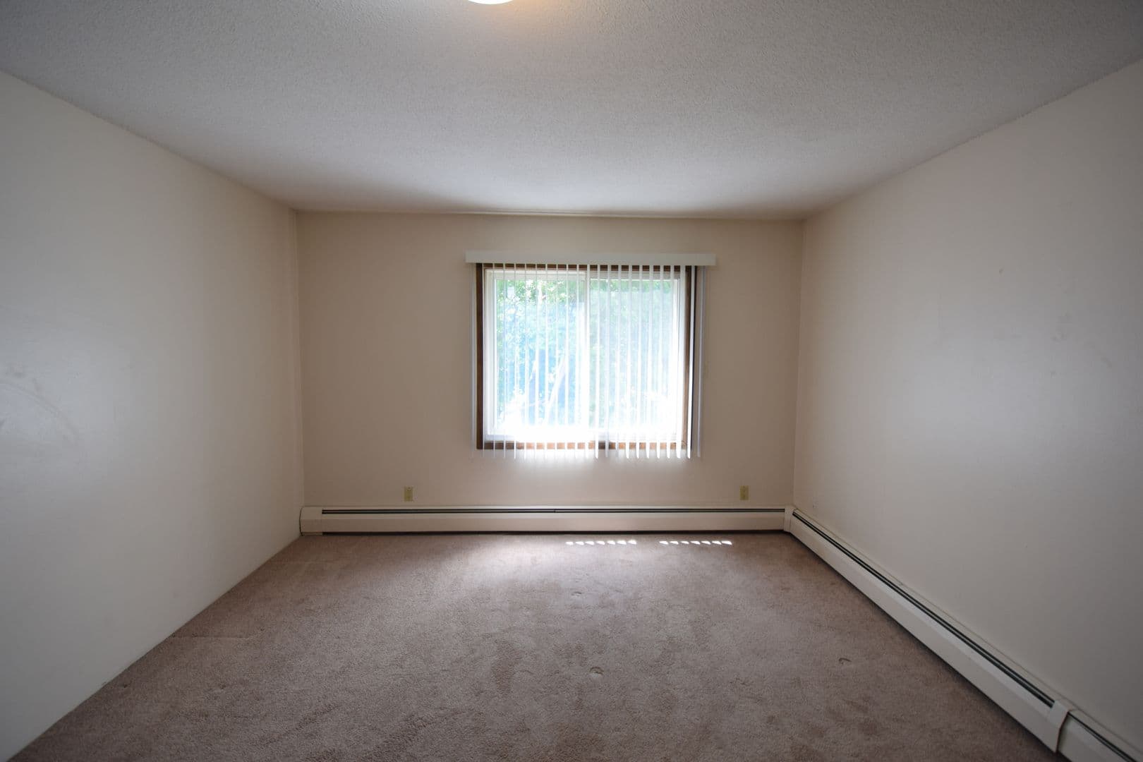 Mankato Apartment: 504 James Ave
