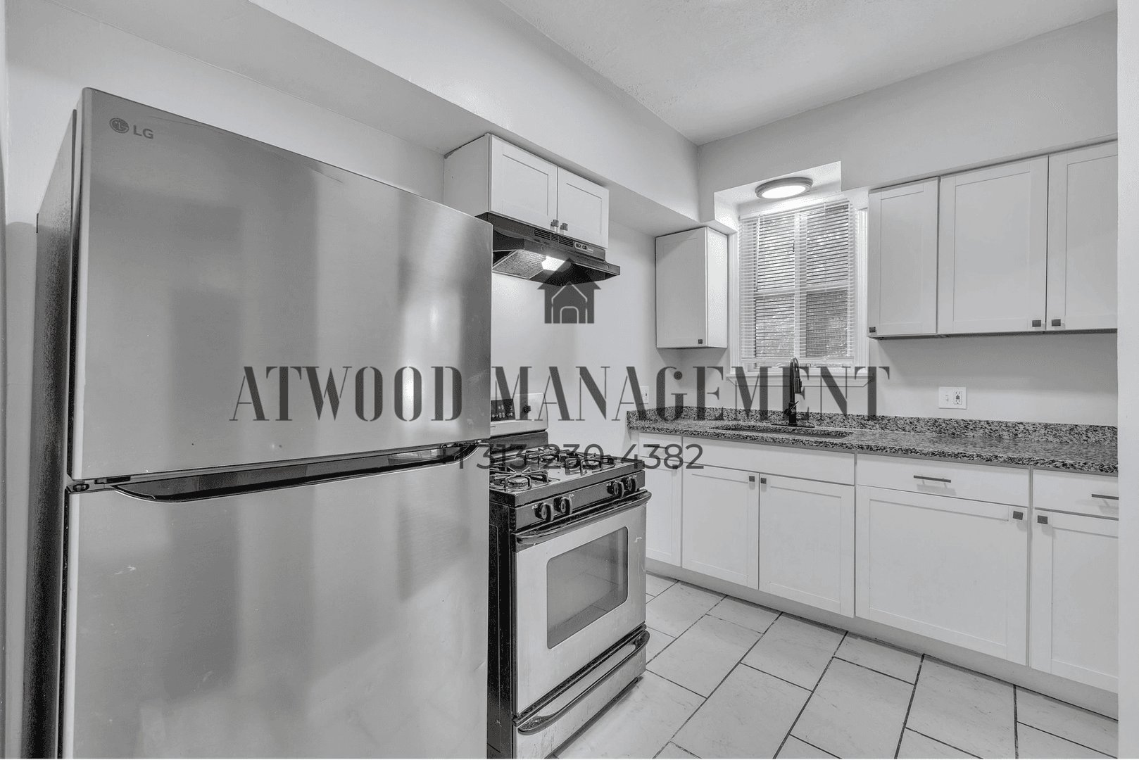 Detroit House: 16614 Woodbine St