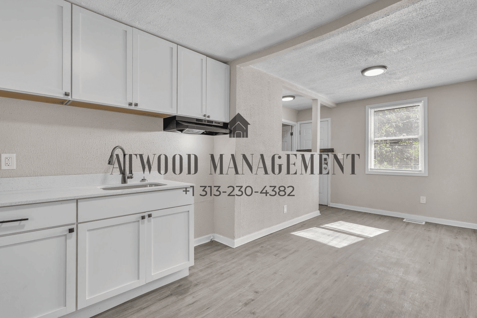 Detroit House: 14722 Quincy St