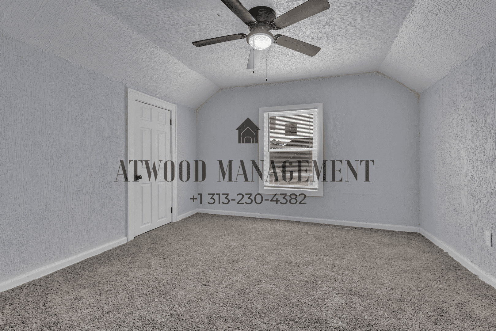 Detroit House: 16665 Tuller St