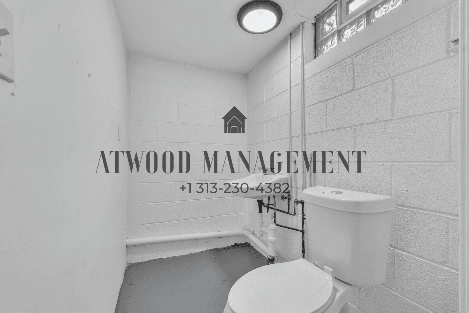 Detroit House: 16614 Woodbine St