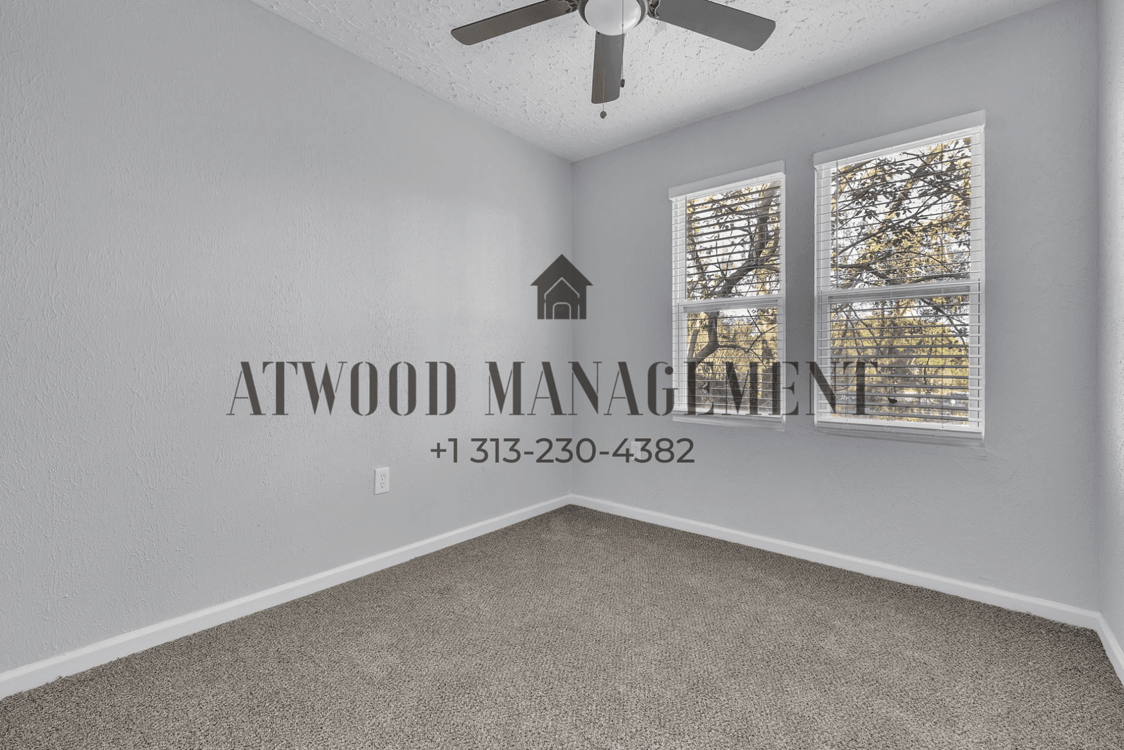 Detroit House: 16566 Stoepel St