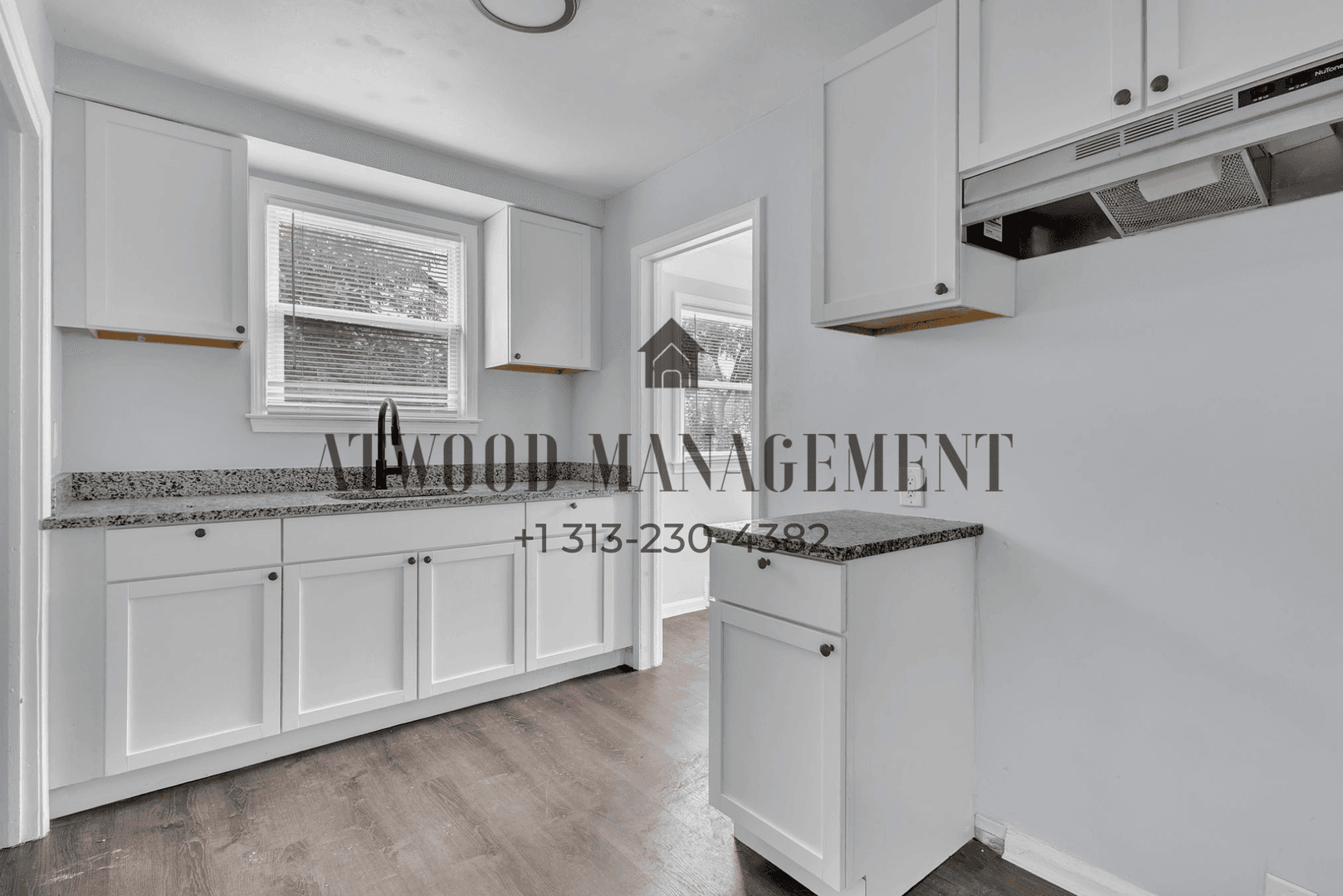 Detroit House: 9078 Minock St
