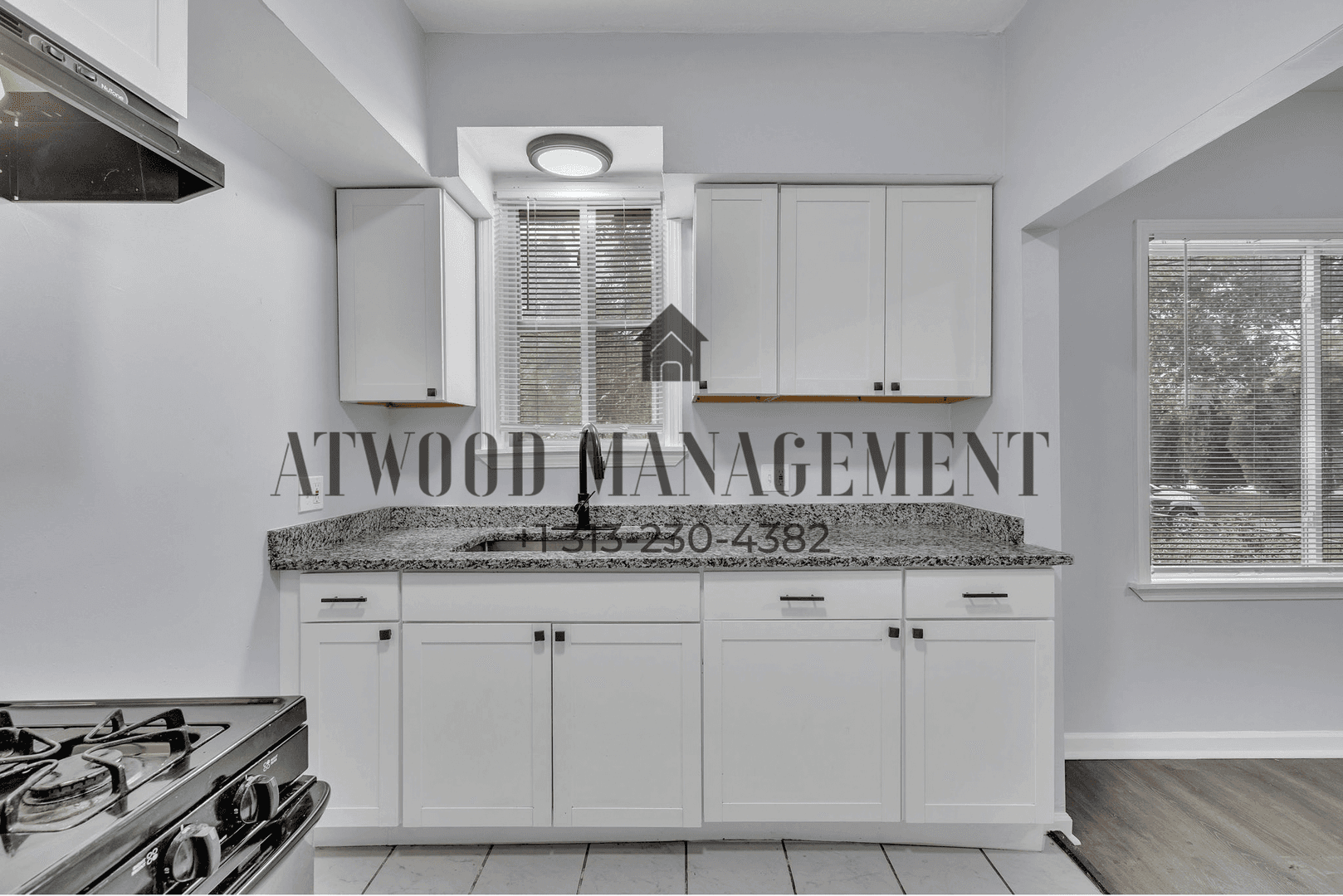 Detroit House: 16614 Woodbine St