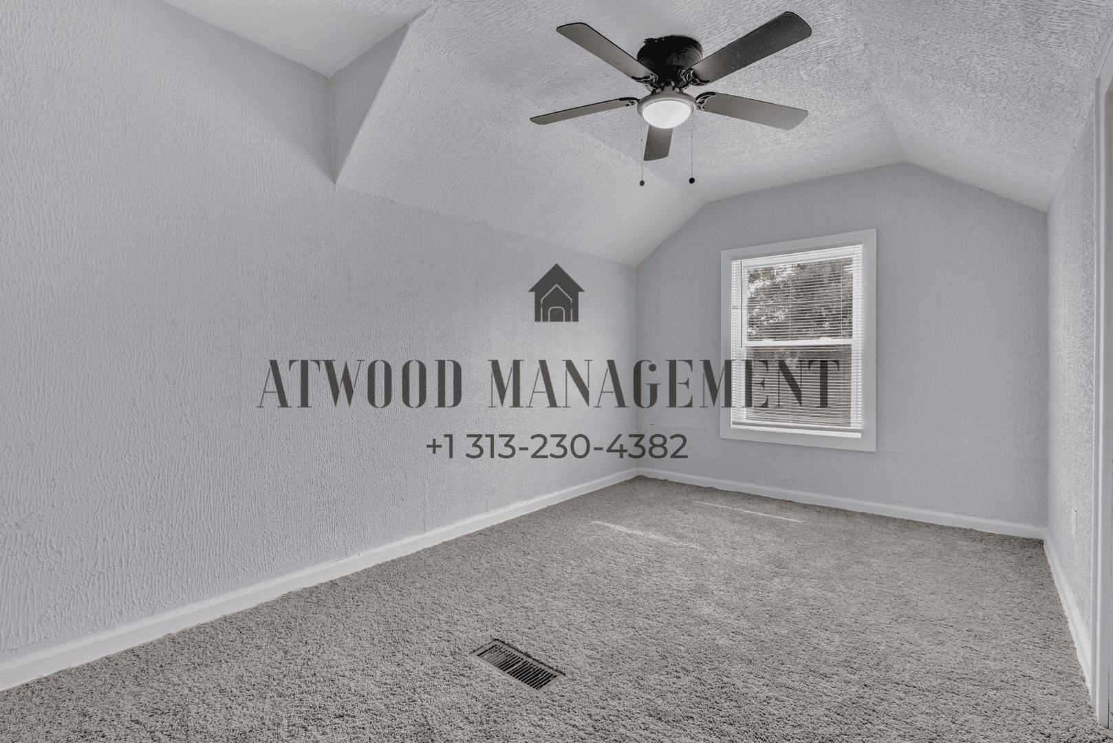 Detroit House: 16665 Tuller St