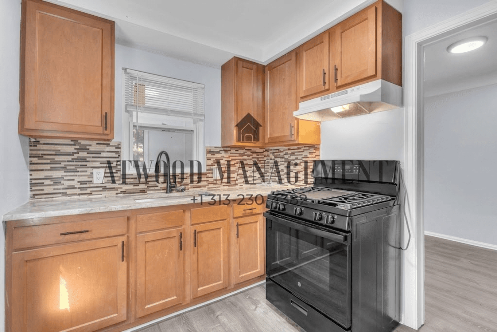 Detroit House: 9969 Pierson St