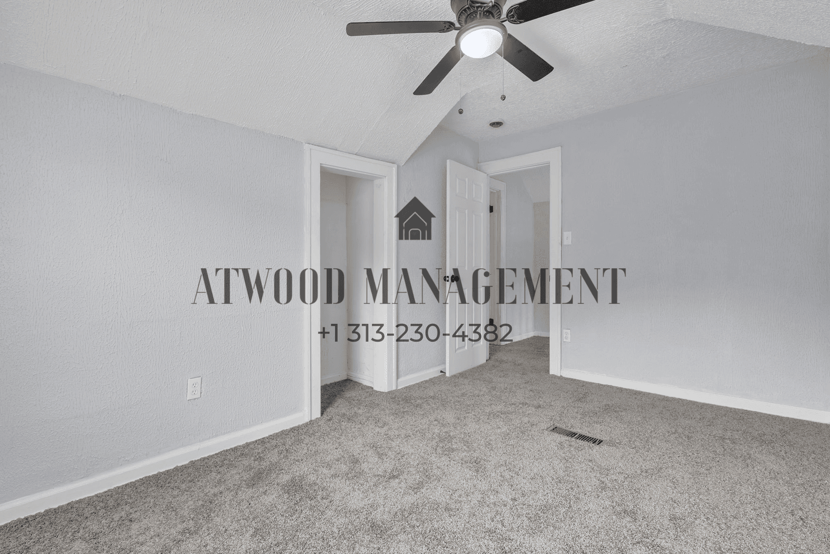 Detroit House: 16665 Tuller St