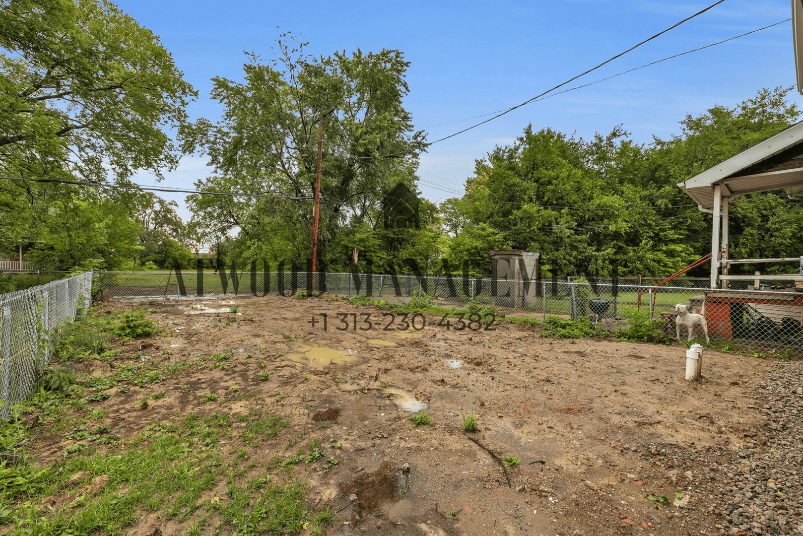 Detroit House: 8693 Woodlawn Ave