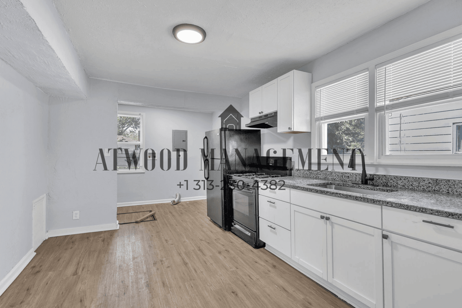 Detroit House: 20531 Moenart St,