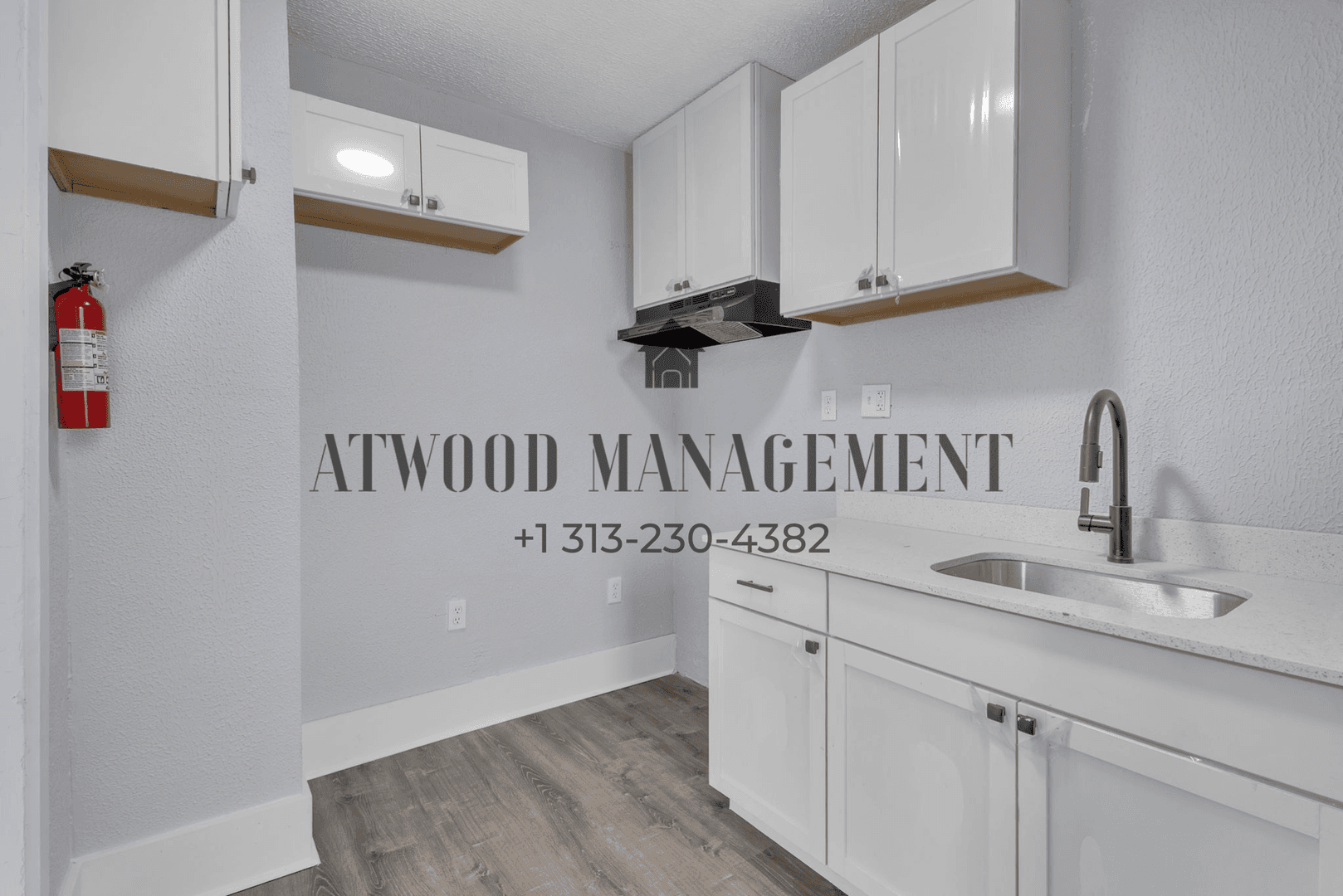 Detroit House: 16665 Tuller St