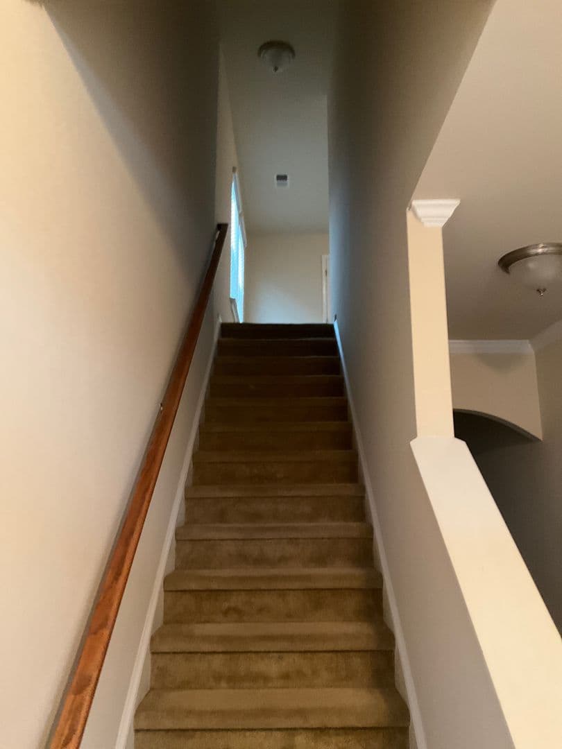 Lexington House: 204 Ashmore Ln