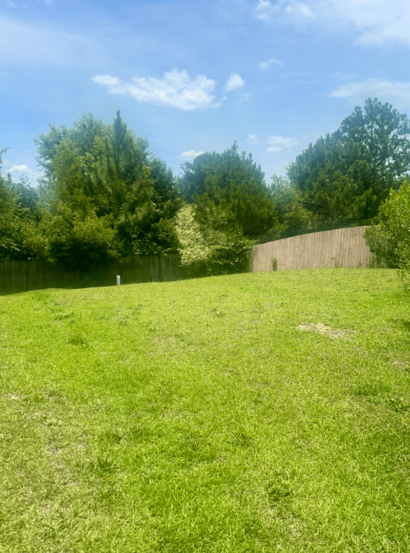 Lexington House: 420 Cape Jasmine Way