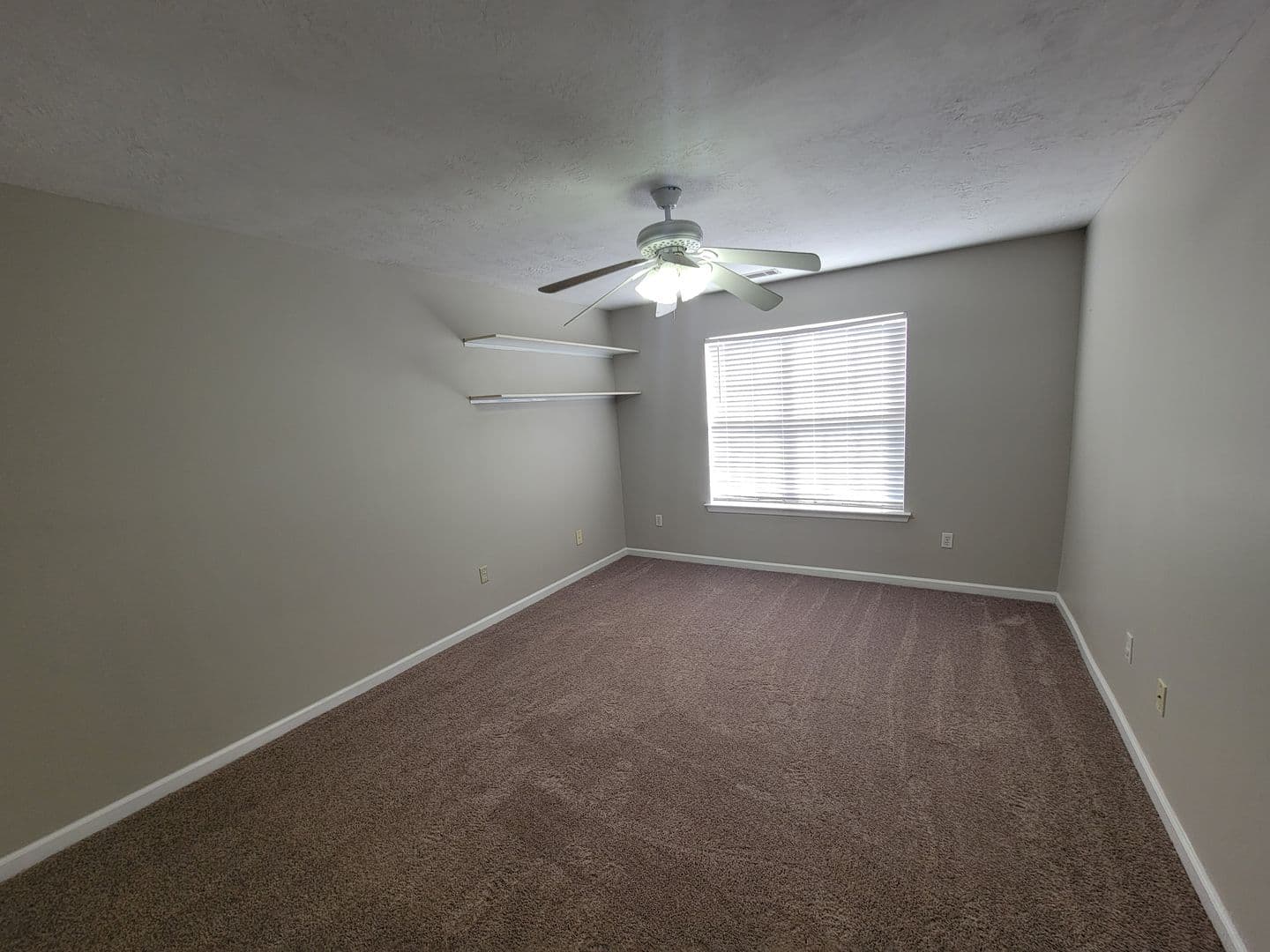 Evans House: 117 Palmer Ct