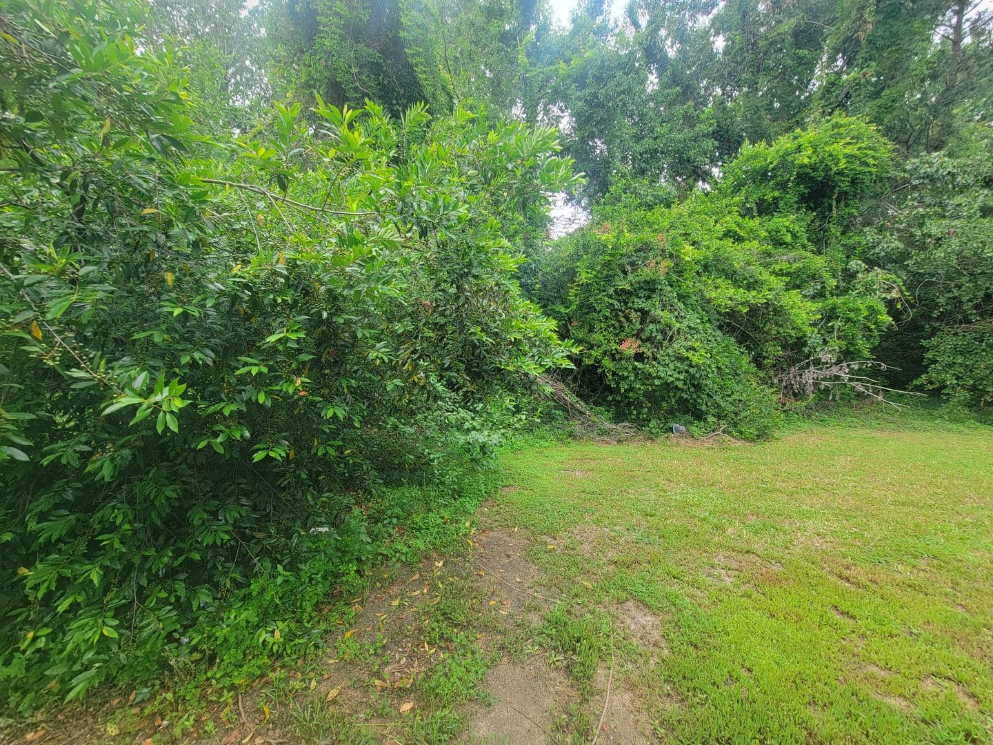 Augusta House: 2441 Dickey Rd