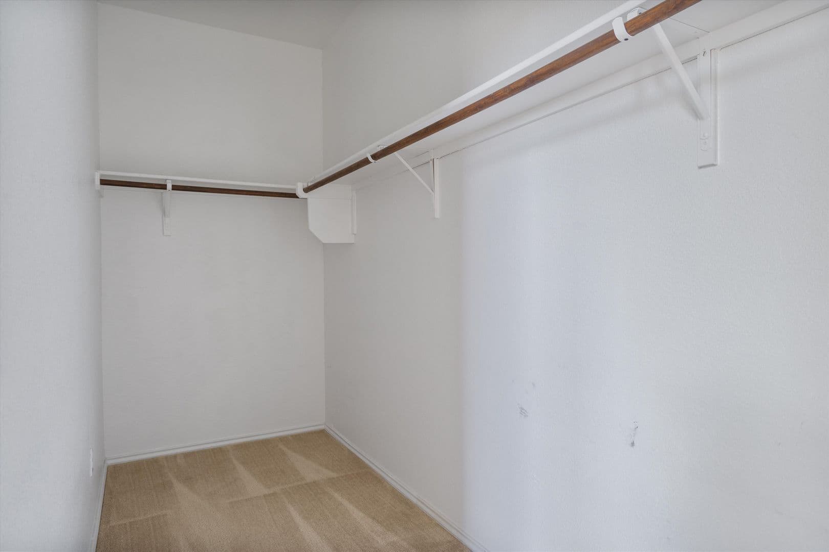 Liberty Hill House: 153 Carlina Loop