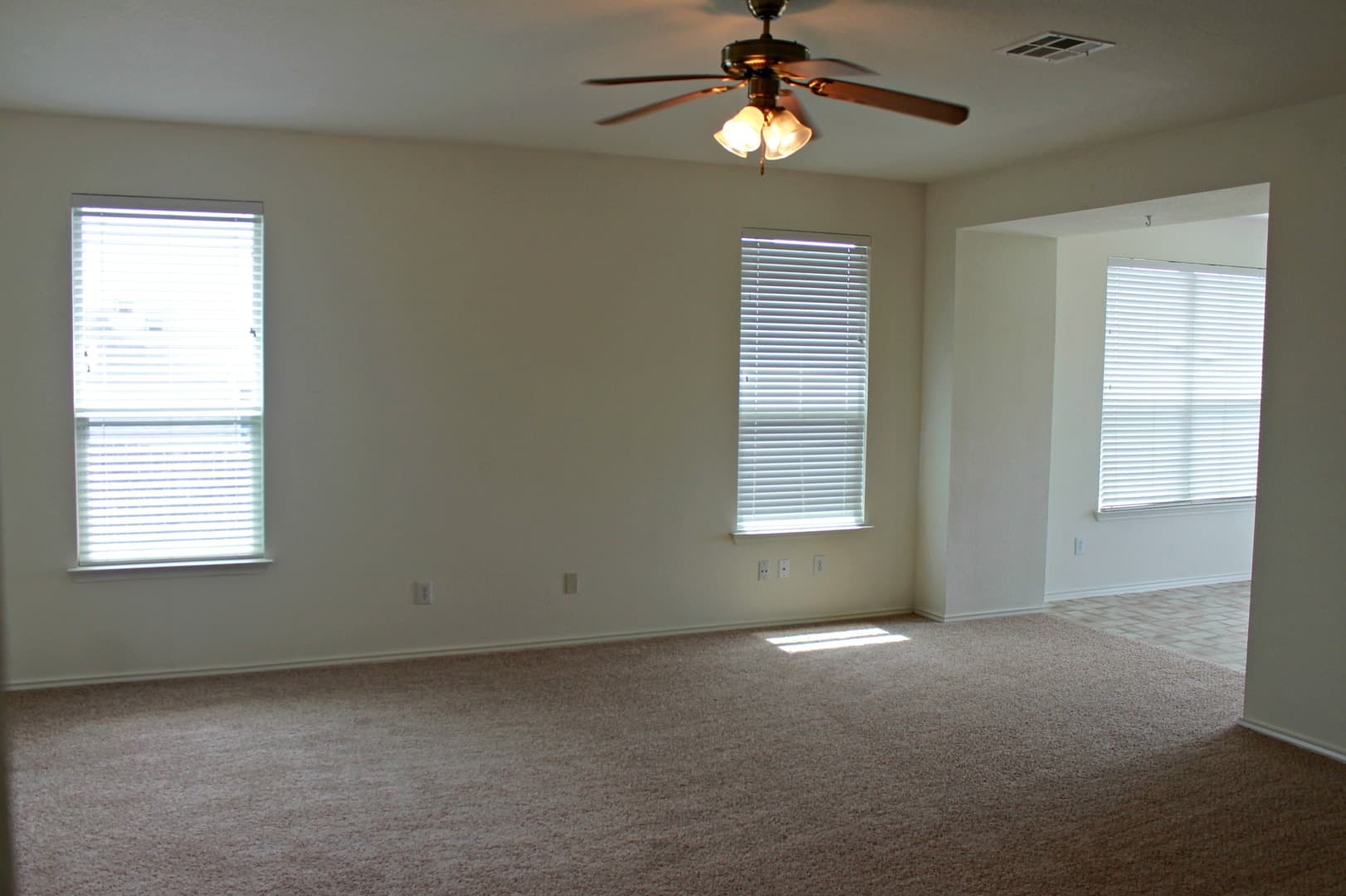 Round Rock House: 3516 Cisco Trail