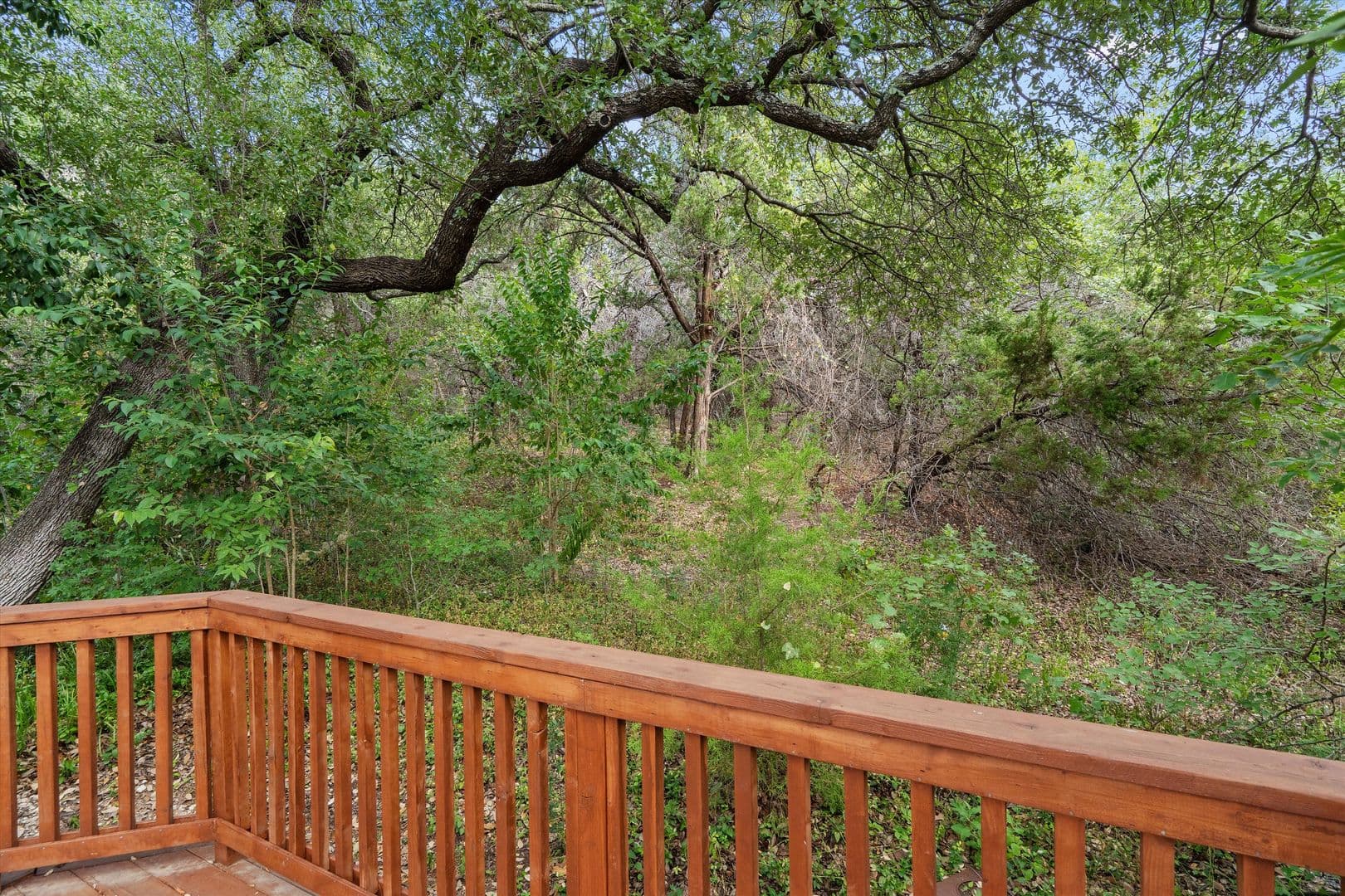 Austin House: 3503 Latimer Dr