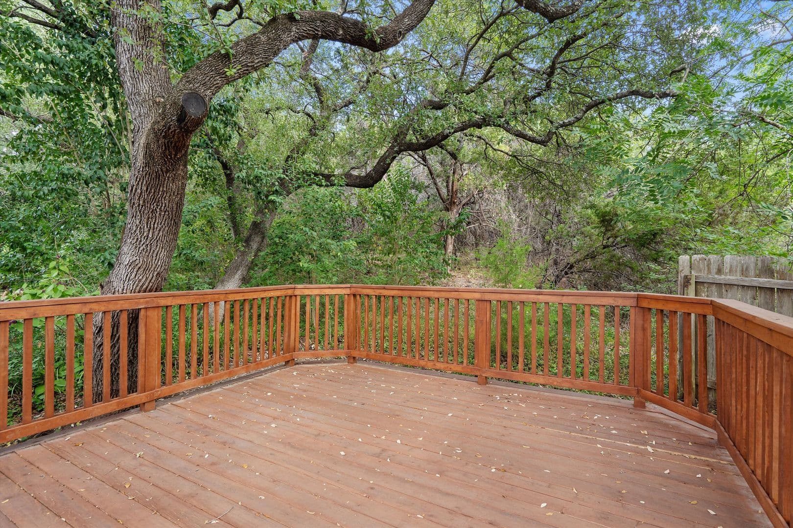 Austin House: 3503 Latimer Dr