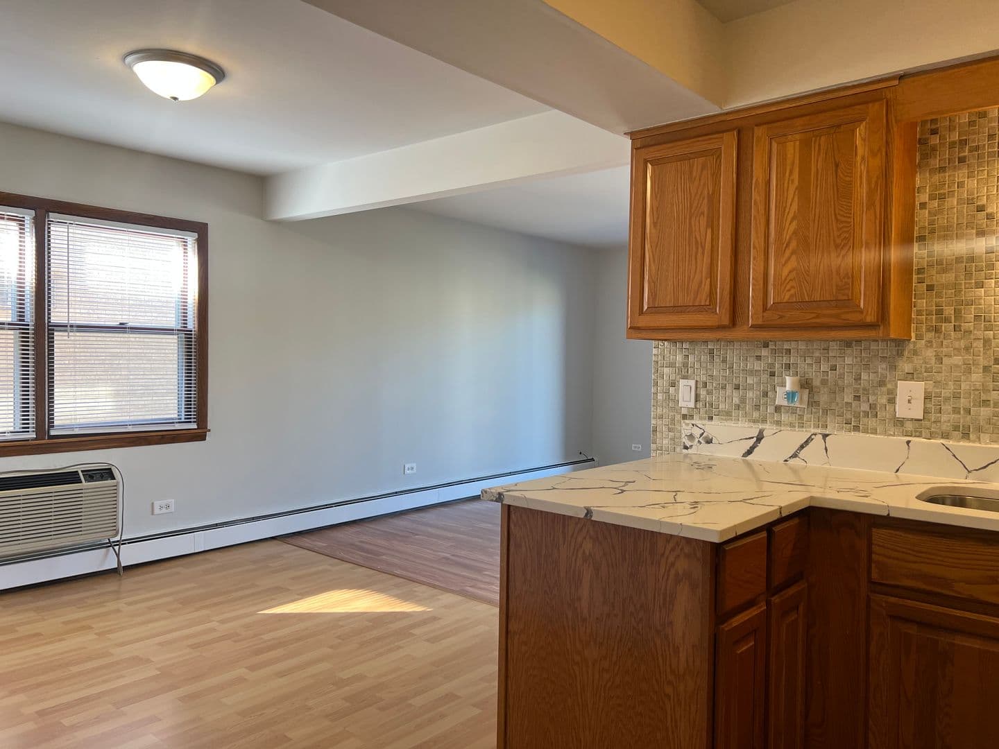 Palos Hills Apartment: 11235 Moraine Drive