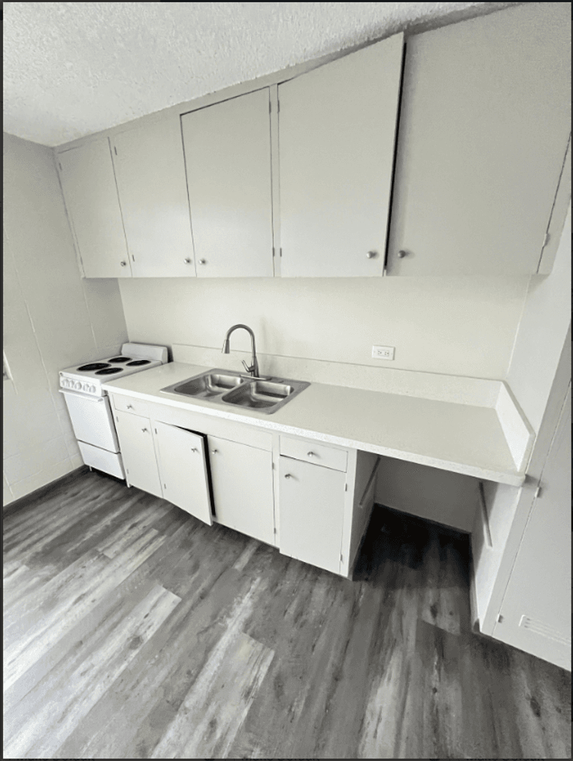 Honolulu Apartment: 910 Birch Street