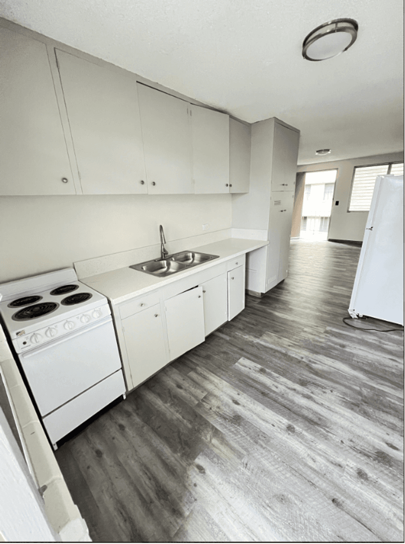 Honolulu Apartment: 910 Birch Street