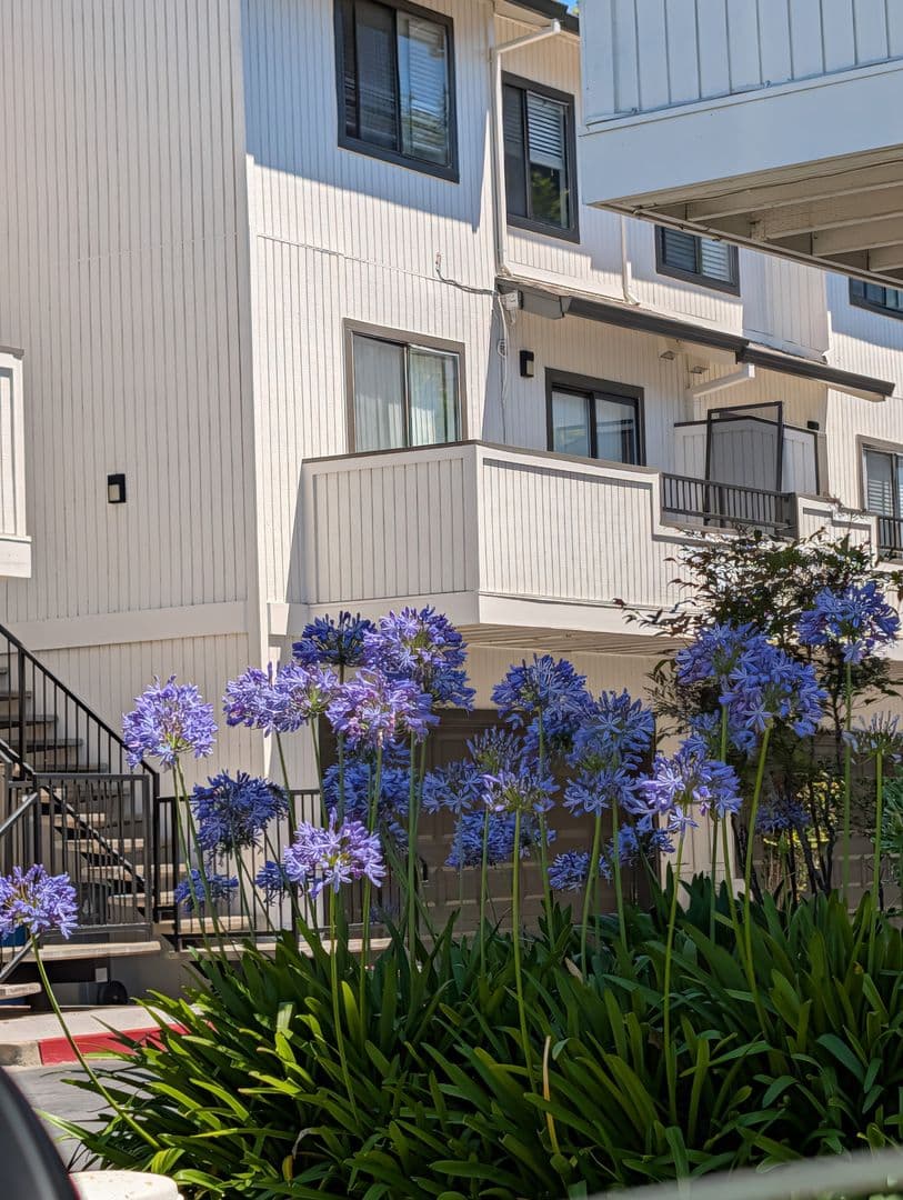 Vallejo House: 1 Frisbie St