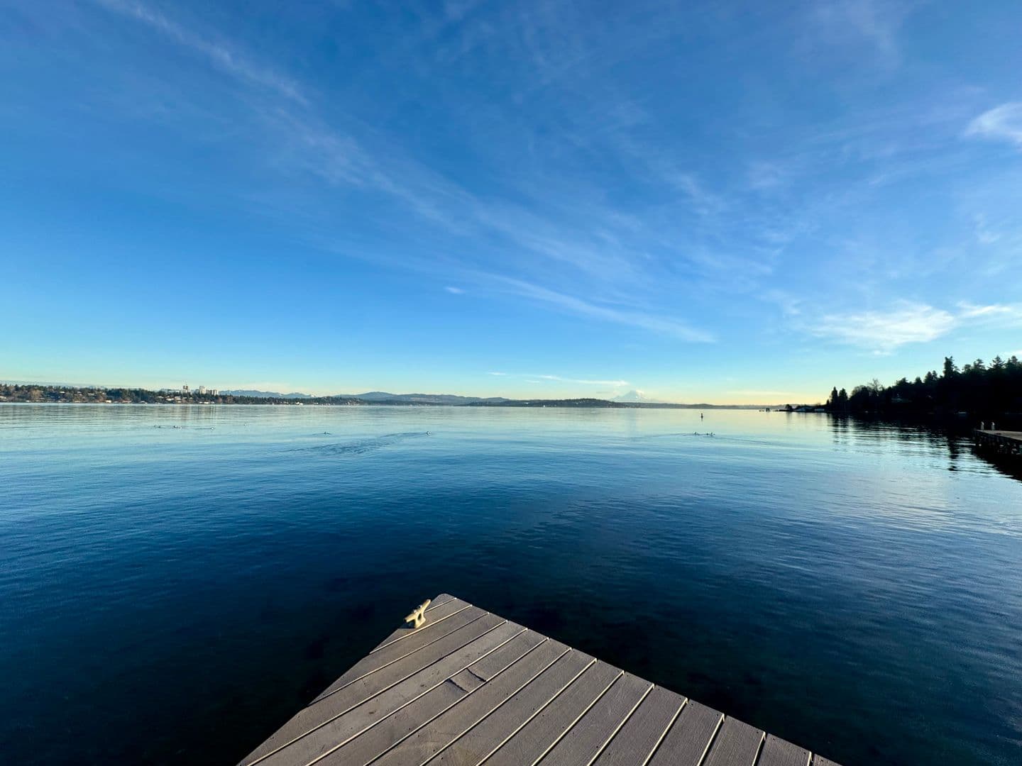 Seattle House: 822 McGilvra Blvd E