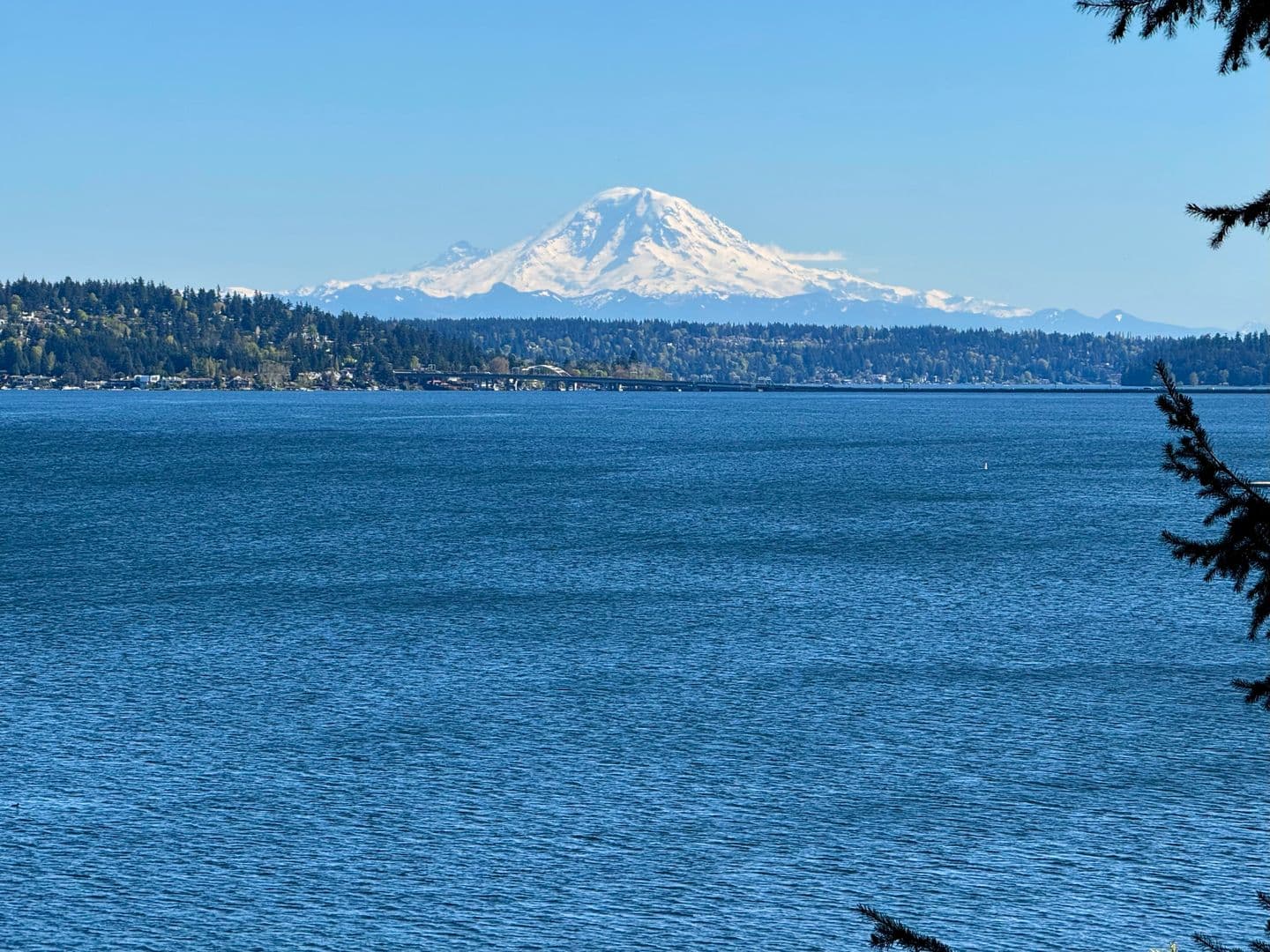 Seattle House: 822 McGilvra Blvd E
