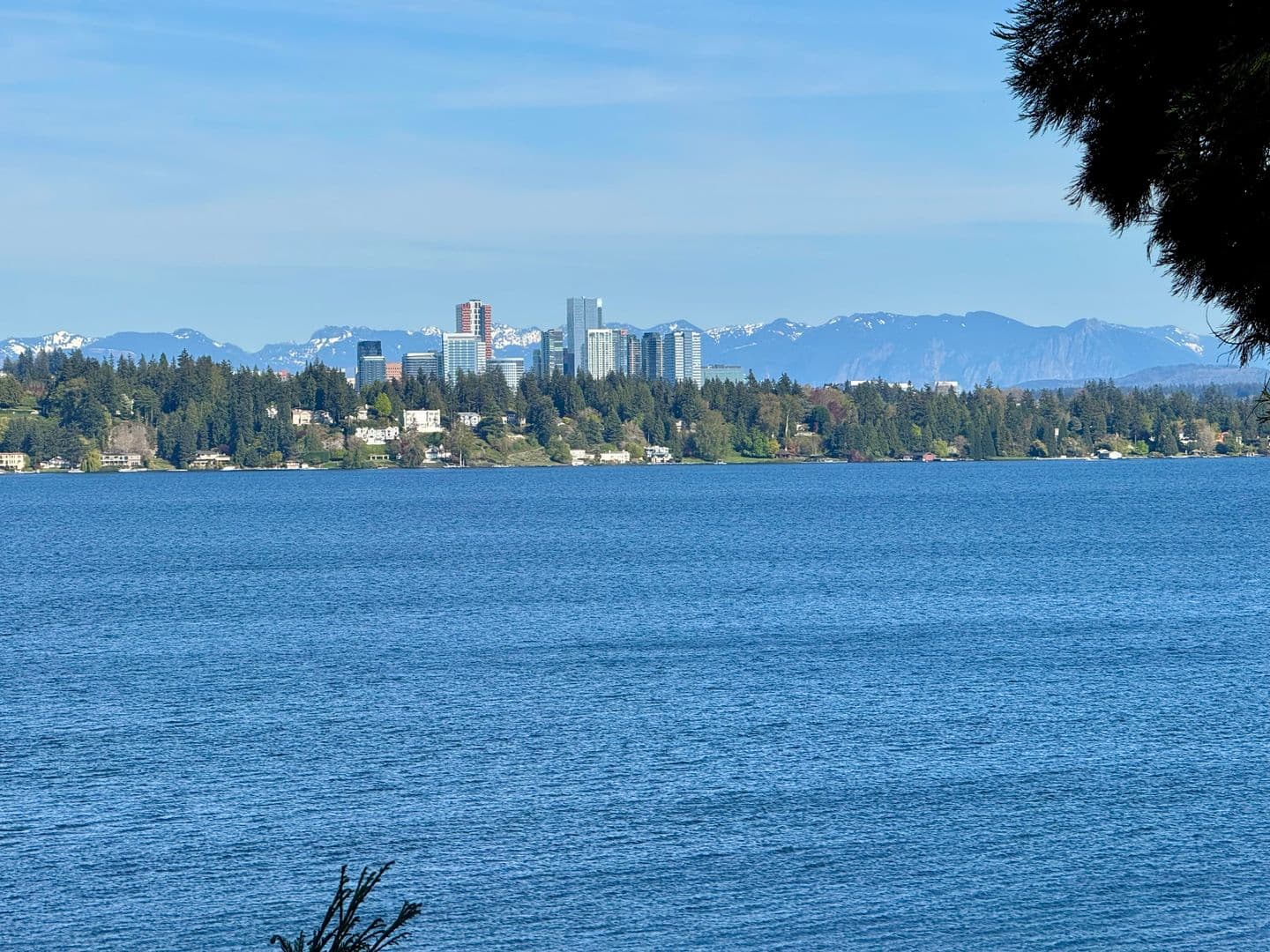 Seattle House: 822 McGilvra Blvd E