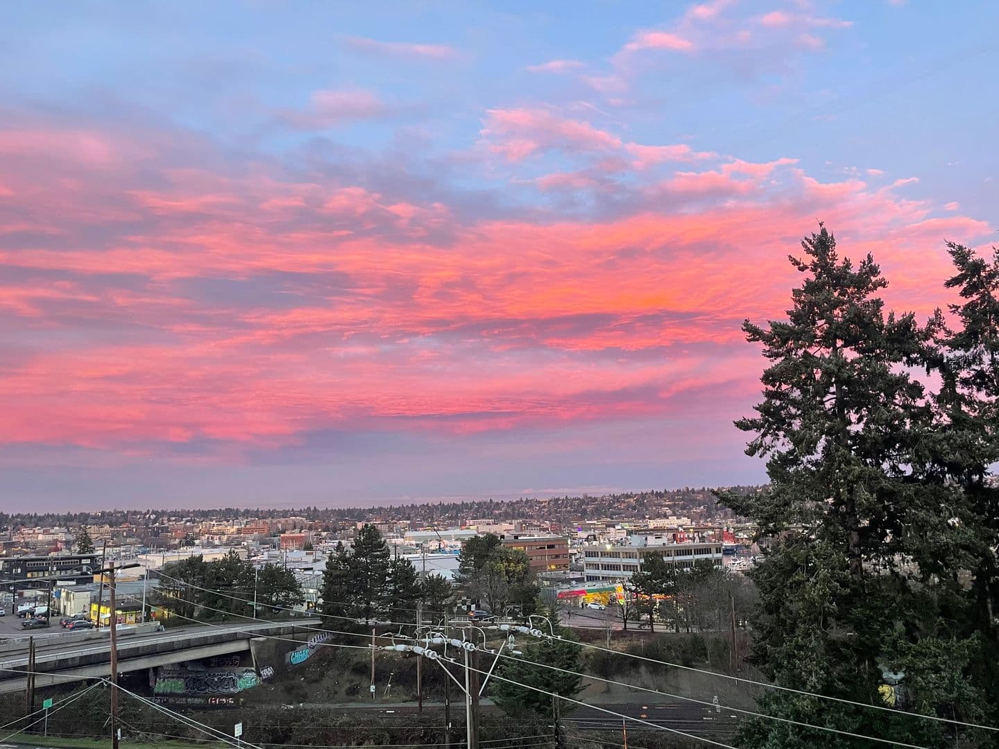 Seattle Townhome: 3831 23rd Ave W