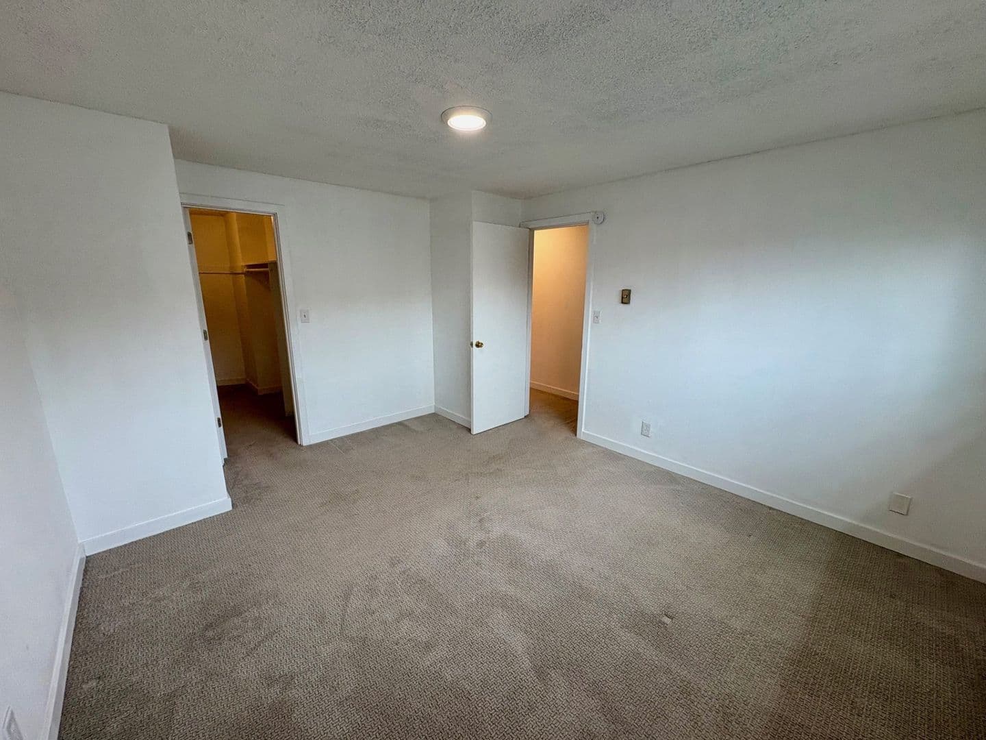 Seattle Apartment: 4267 Woodland Park Ave N