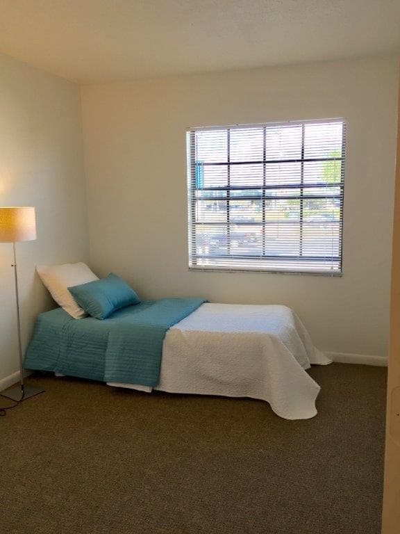 Tampa Apartment: 3719 W Wisconsin Ave