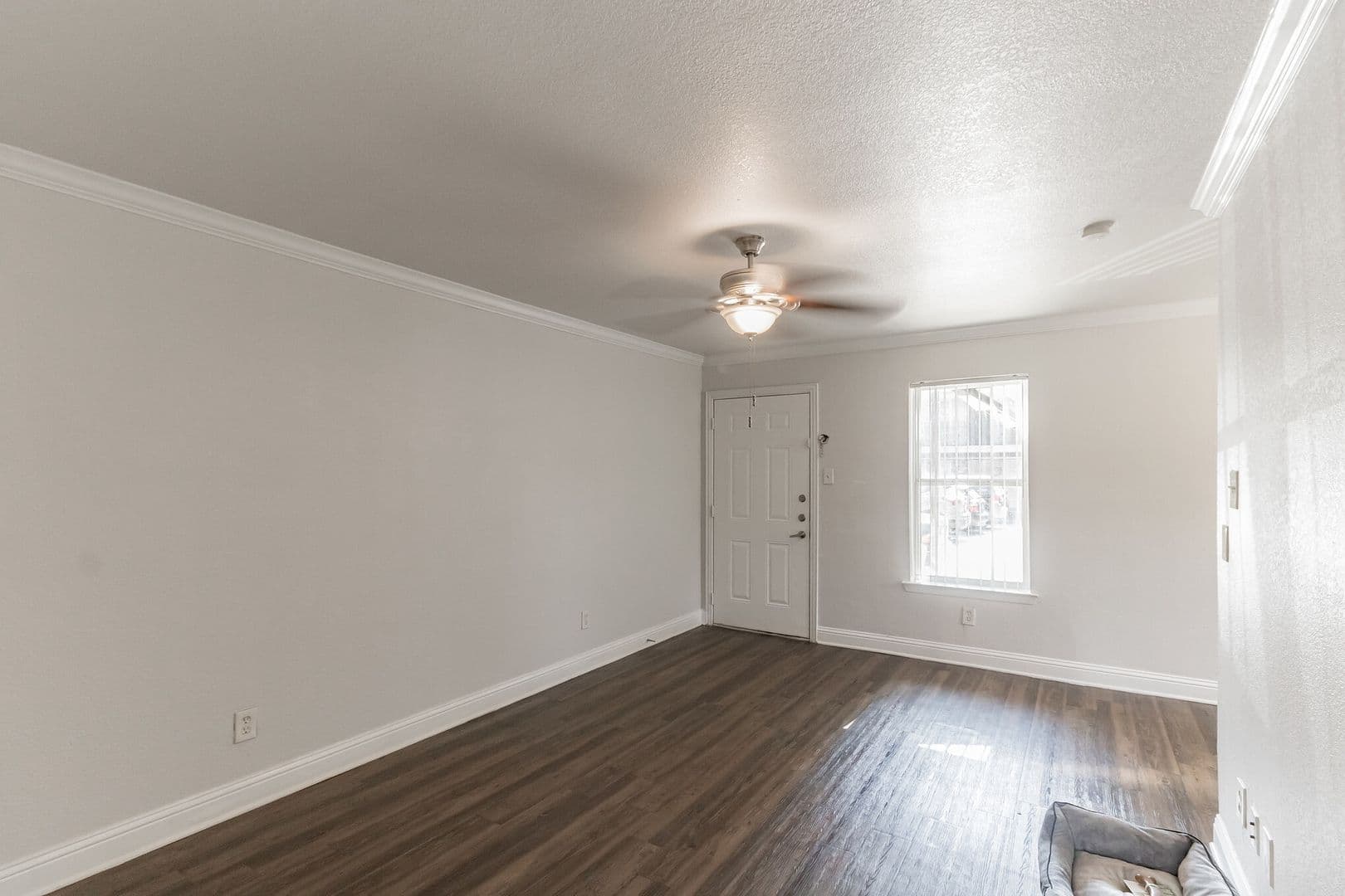 Dallas Apartment: 929 N Marsalis Ave