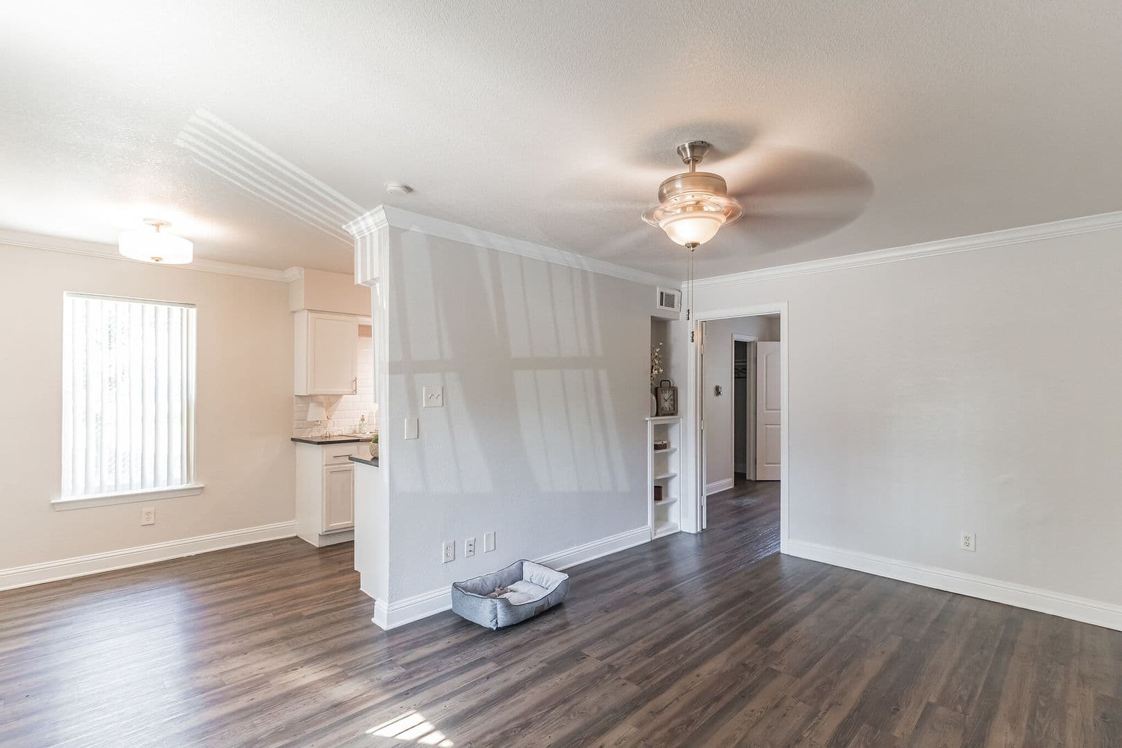 Dallas Apartment: 929 N Marsalis Ave