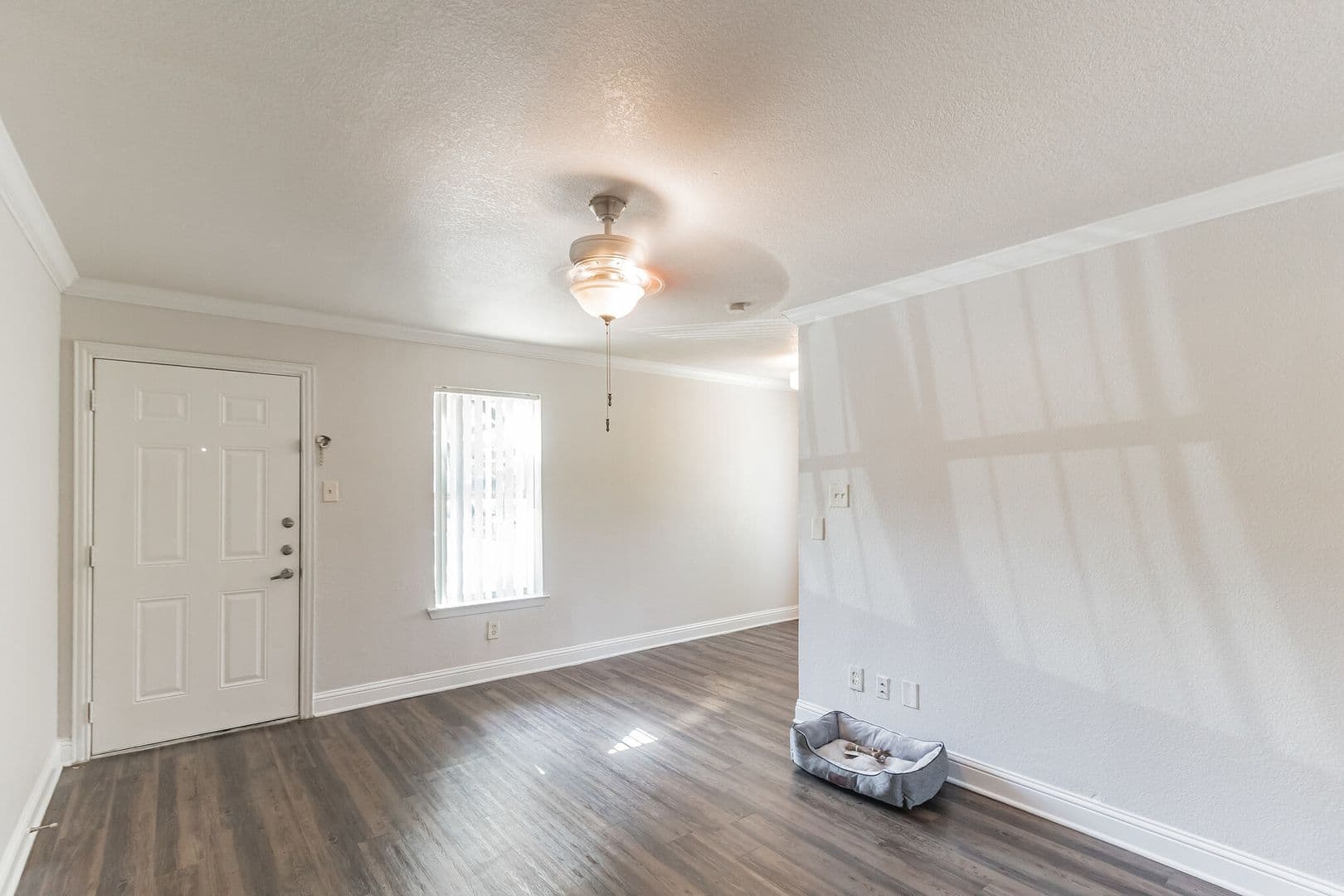 Dallas Apartment: 929 N Marsalis Ave