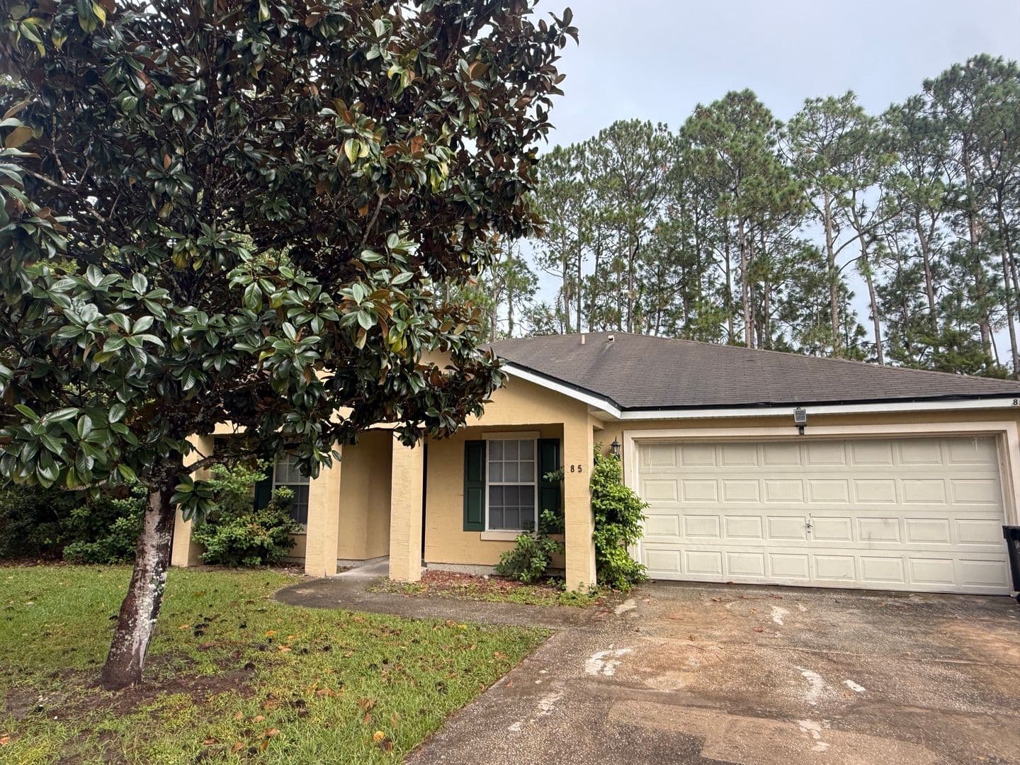 Palm Coast House: 85 Pine Haven Drive