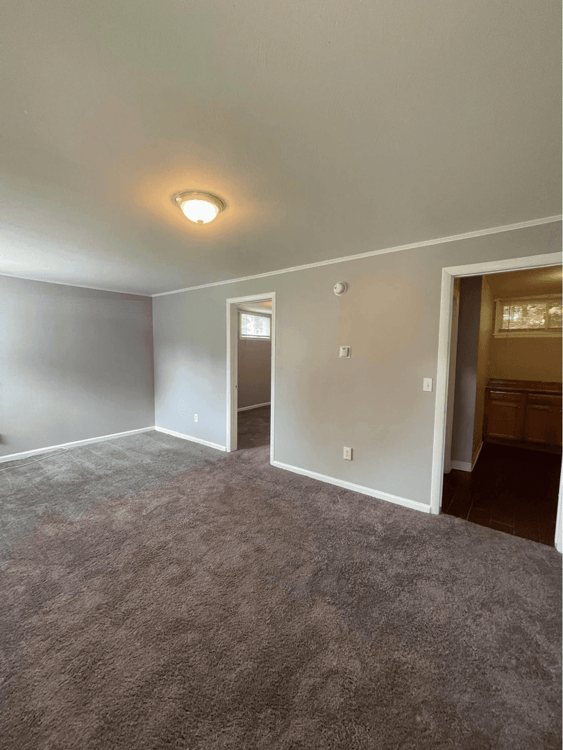 Storrs Apartment: 101 S Eagleville Rd
