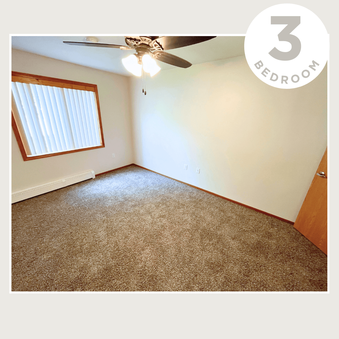 Shenandoah Apartment: 303 S Iowa St