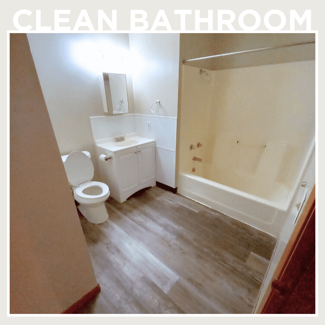 Shenandoah Apartment: 303 S Iowa St