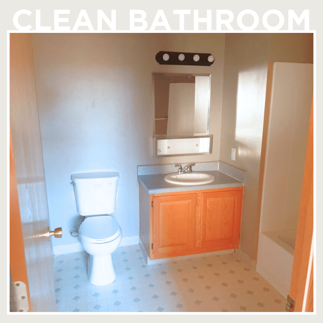 Shenandoah Apartment: 303 S Iowa St