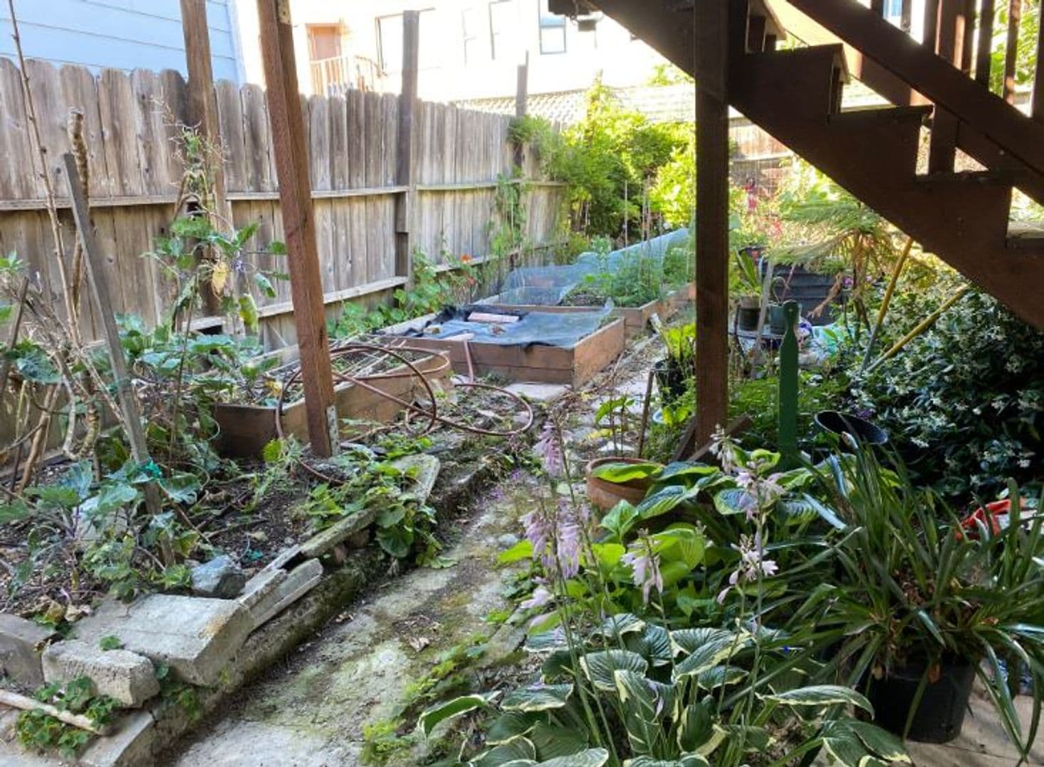 San Francisco House: 1564 Underwood Ave