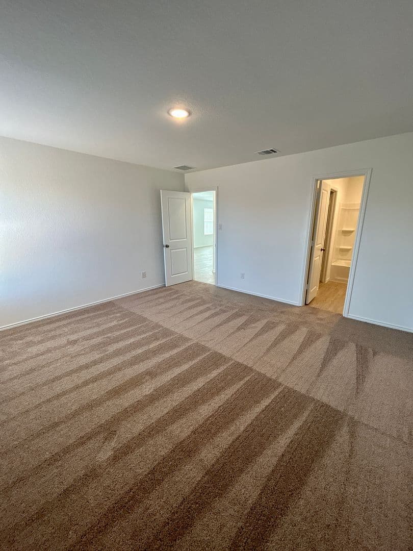 New Braunfels House: 751 Bullsnake