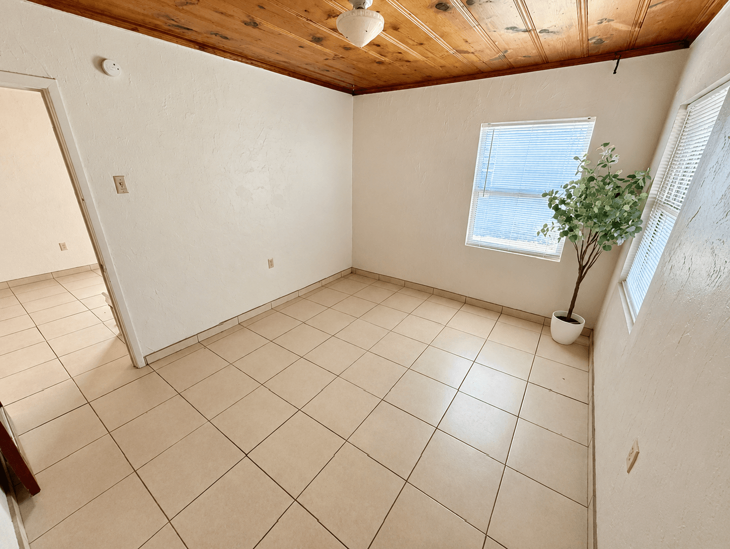 Phoenix Apartment: 925 E Turney Ave