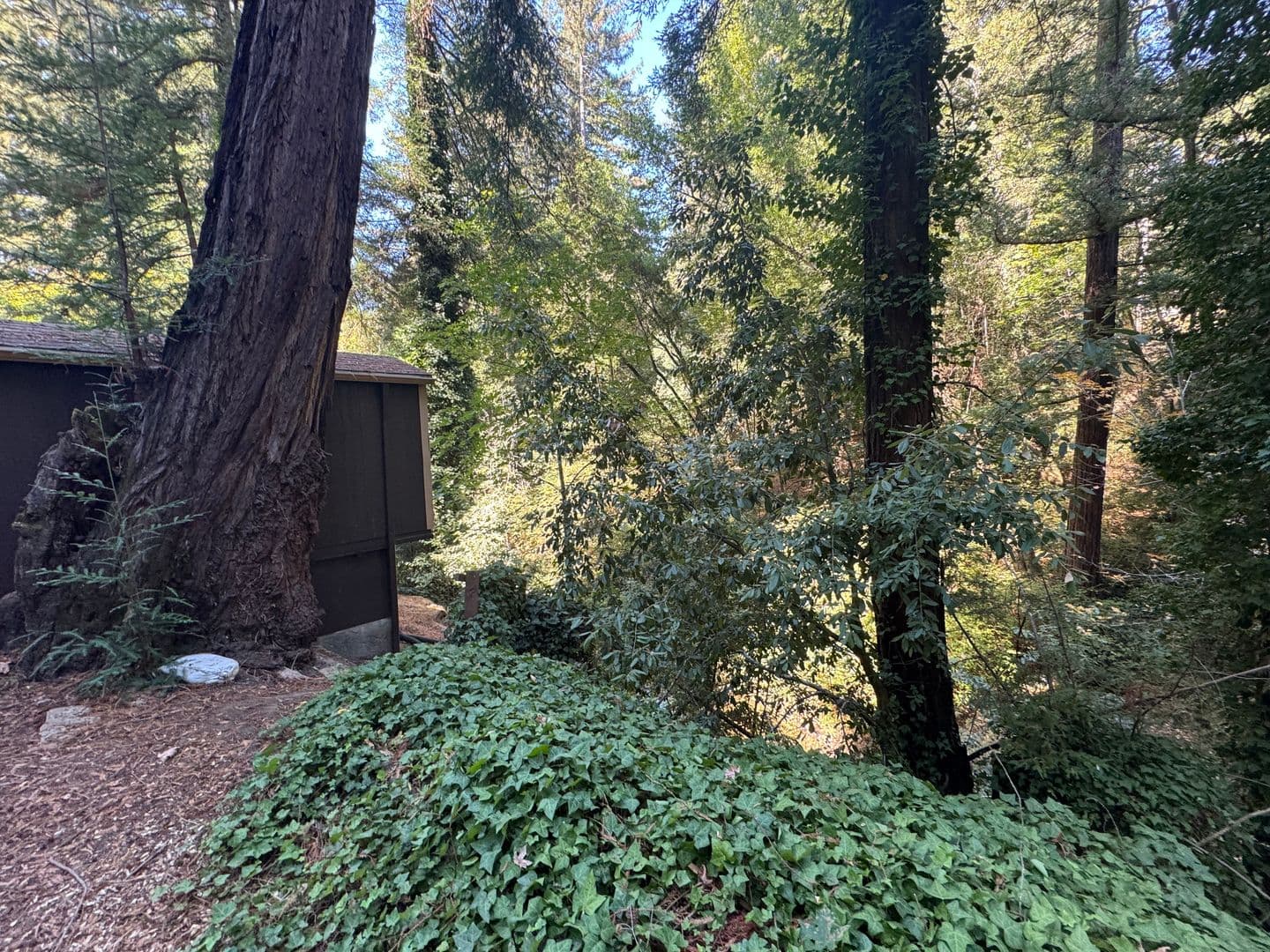 Boulder Creek House: 13550 Bear Creek Rd #18