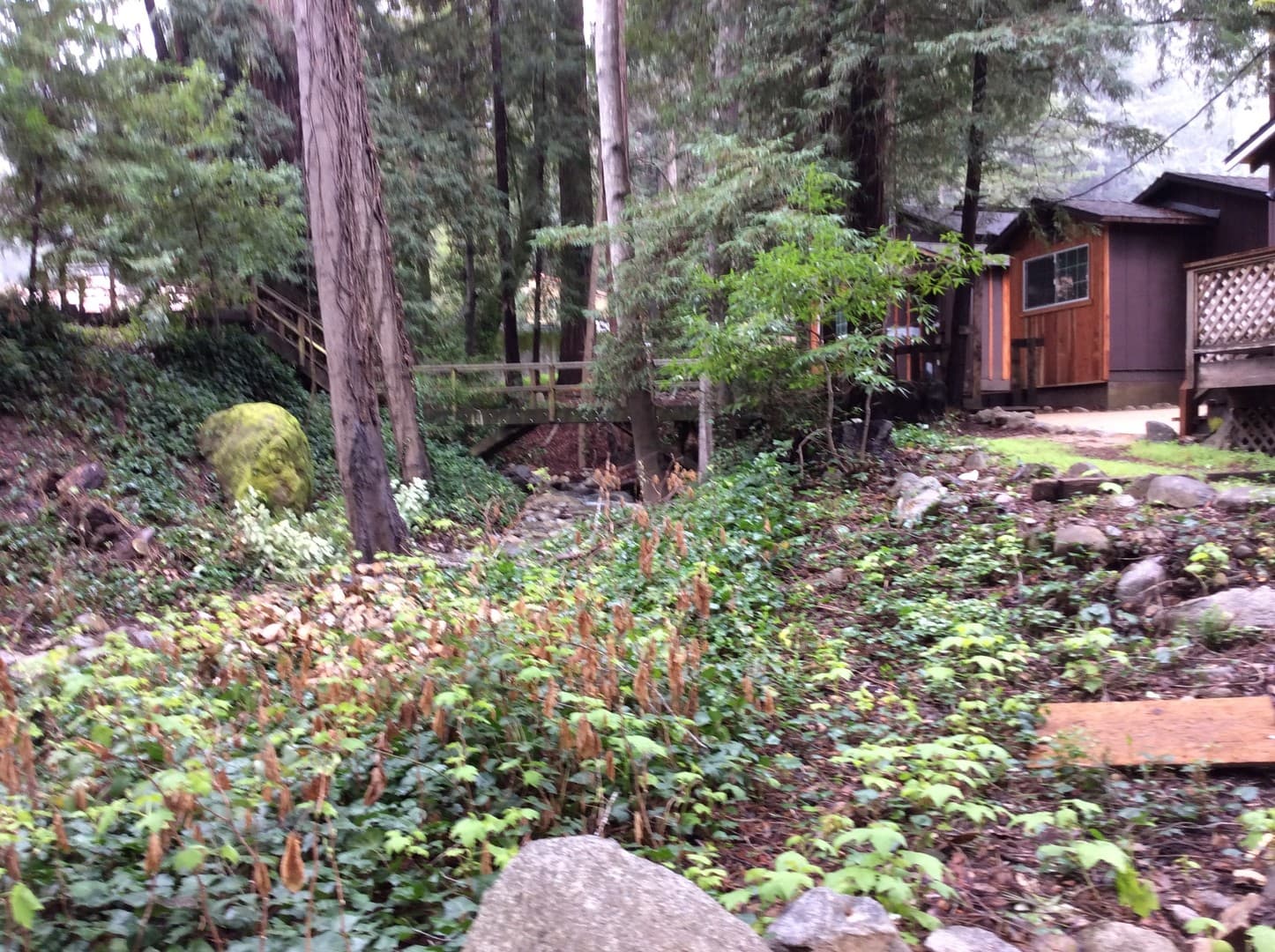 Brookdale Apartment: 11570 Highway 9