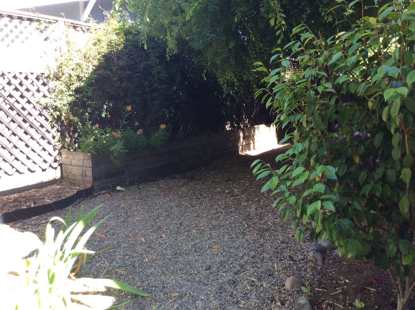 Santa Cruz House: 1 Berkeley Ct