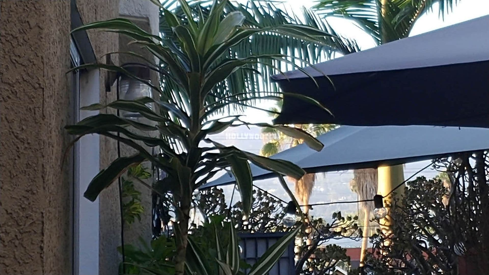Hollywood Apartment: 6010 Romaine St.