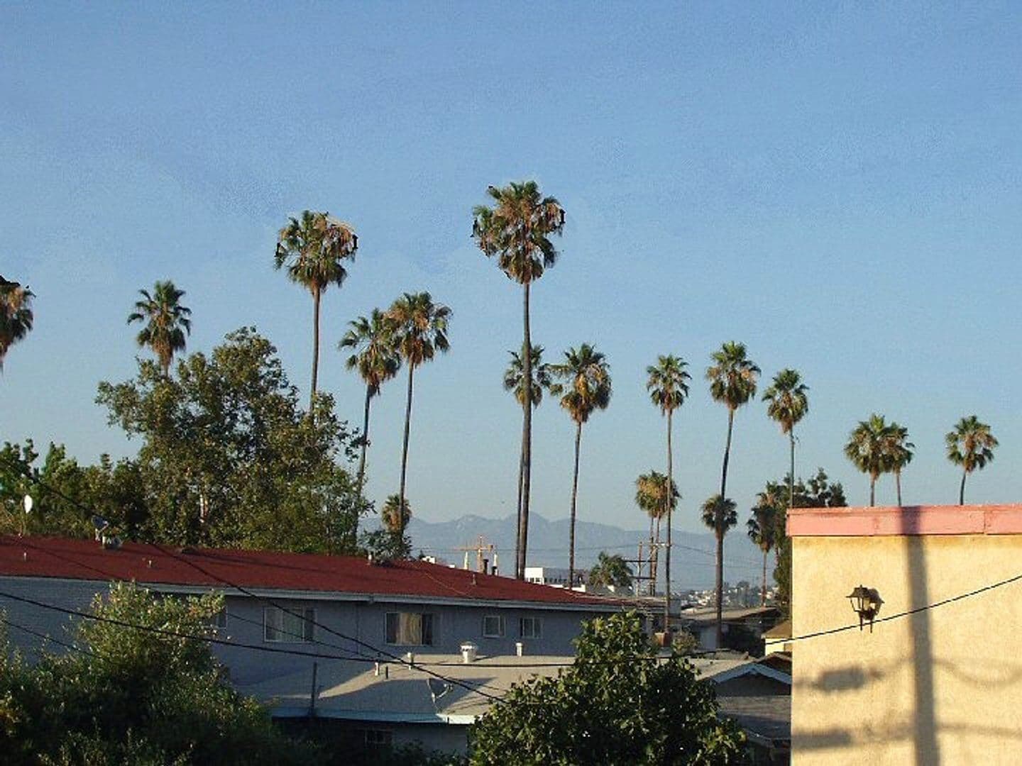 Hollywood Apartment: 940 N. Ardmore Ave.