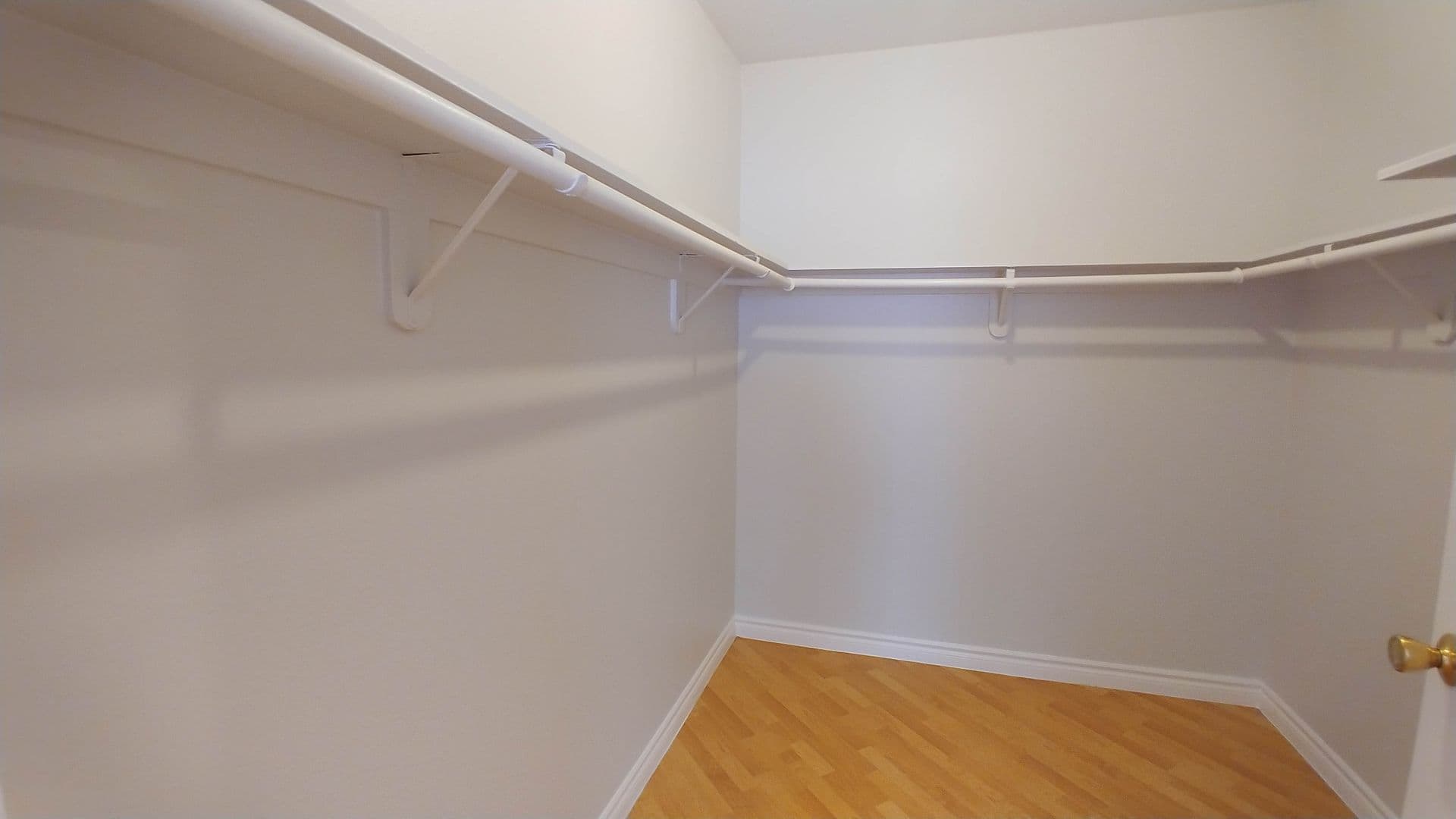 Hollywood Apartment: 6010 Romaine St.
